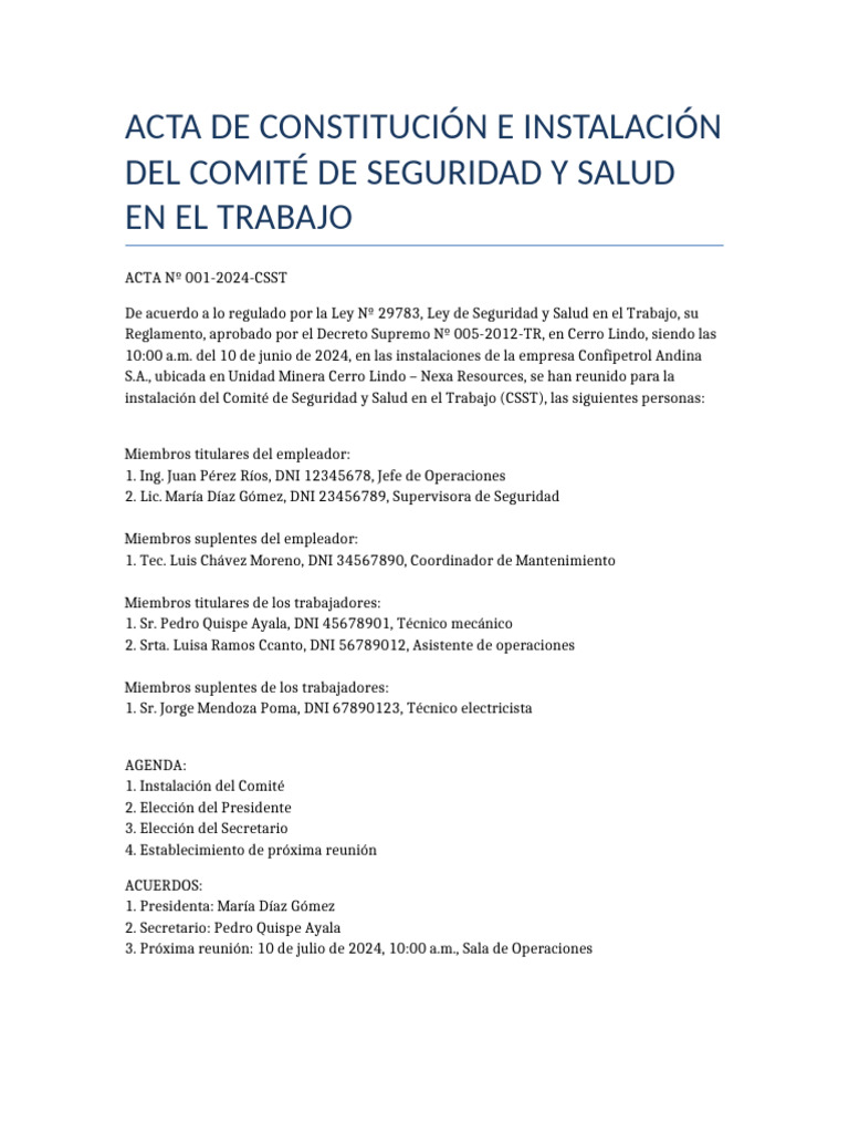 Acta Comité de Seguridad y Salud 2024 | PDF