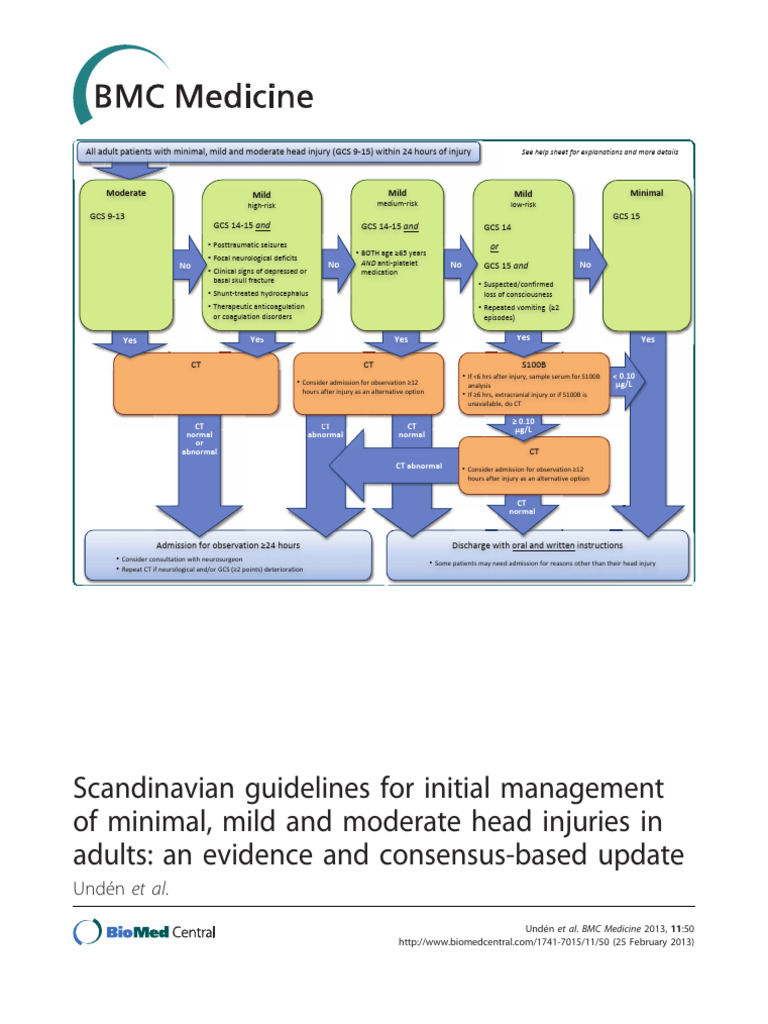 Updated Guidelines for Head Injury Management | PDF | Traumatic Brain ...
