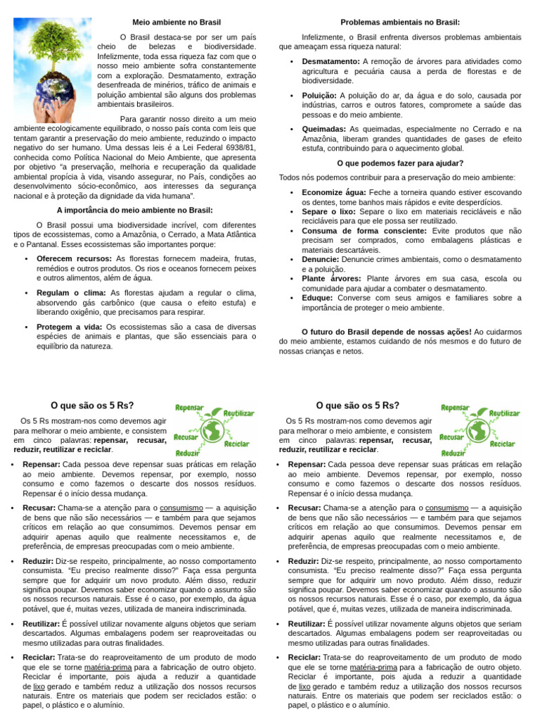Problemas e Soluções Ambientais no Brasil | PDF | Poluição | Poluição do ar