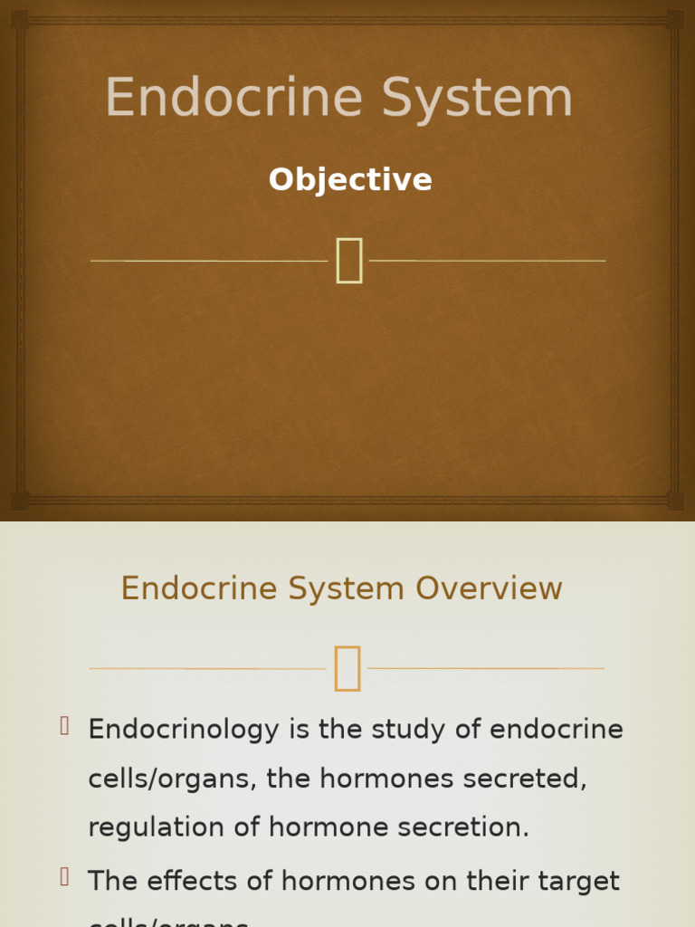 Endocrine System Overview and Functions | PDF | Endocrine System | Pancreas