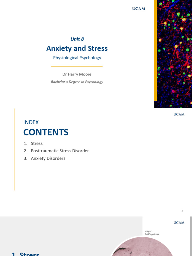 Unit8 Anxiety and Stress | PDF | Adrenal Gland | Hippocampus Anatomy