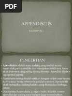 Download Appendisitis by mariaiva SN87691328 doc pdf