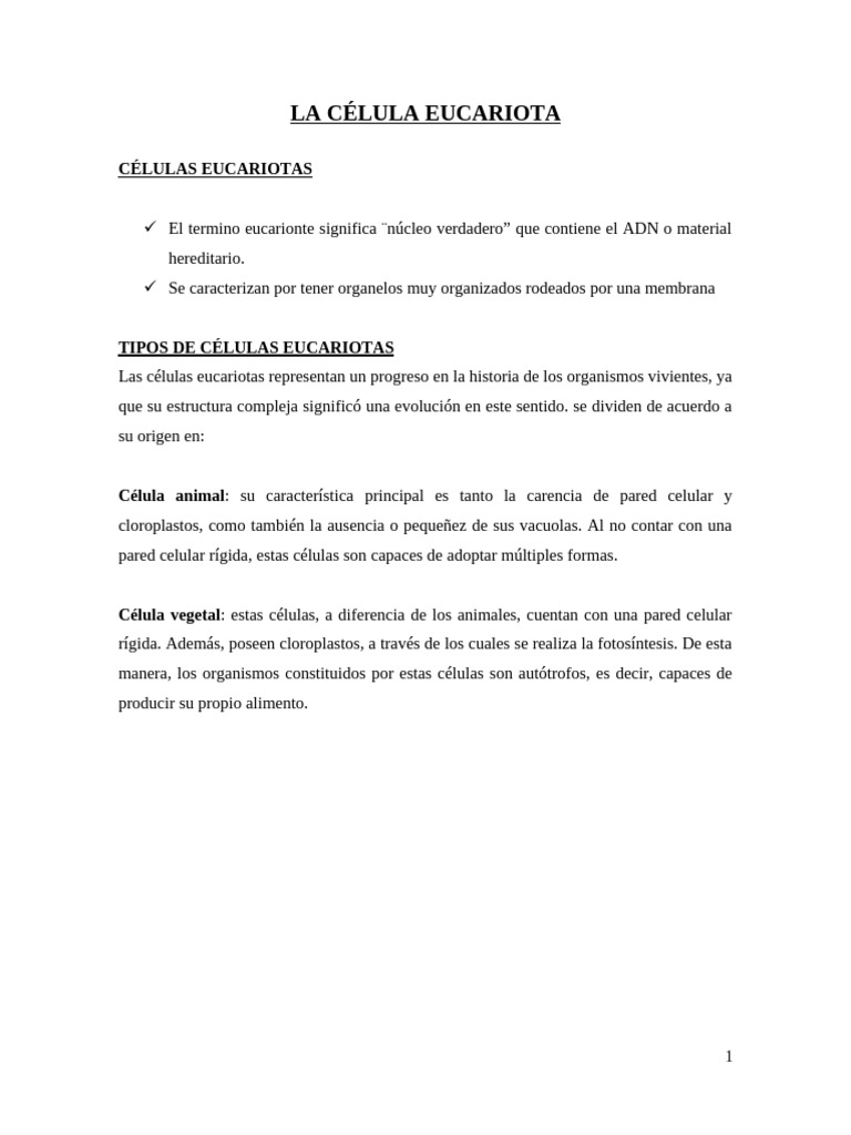 Estructura y Tipos de Células Eucariotas | PDF | Biología Celular ...