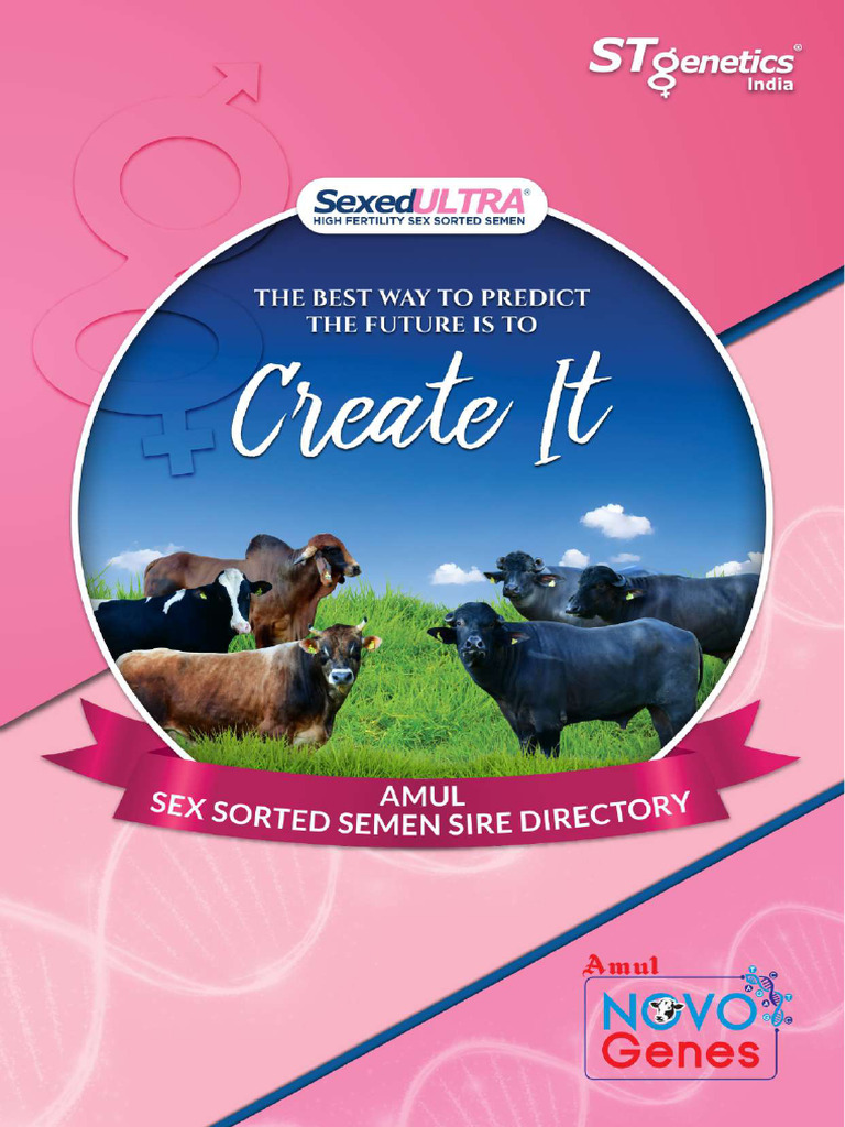 Amul Bull Directory 2024 | PDF | Horse Breeding | Horse Breeding And Studs