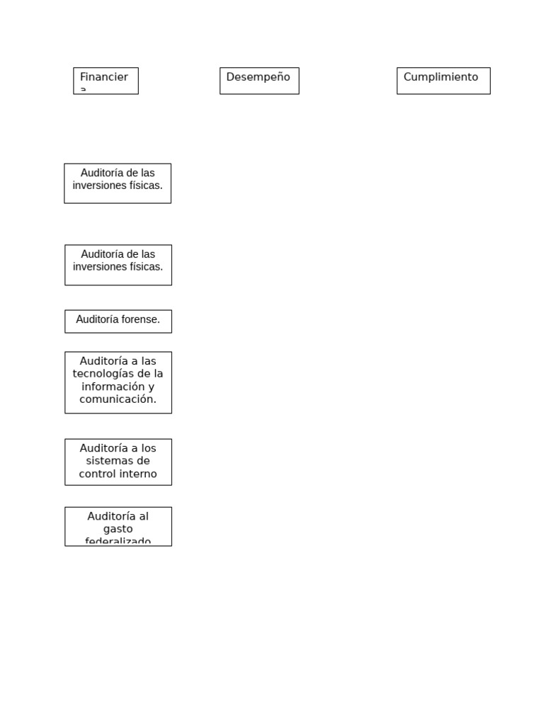 Tipos de Auditoría Gubernamental | PDF