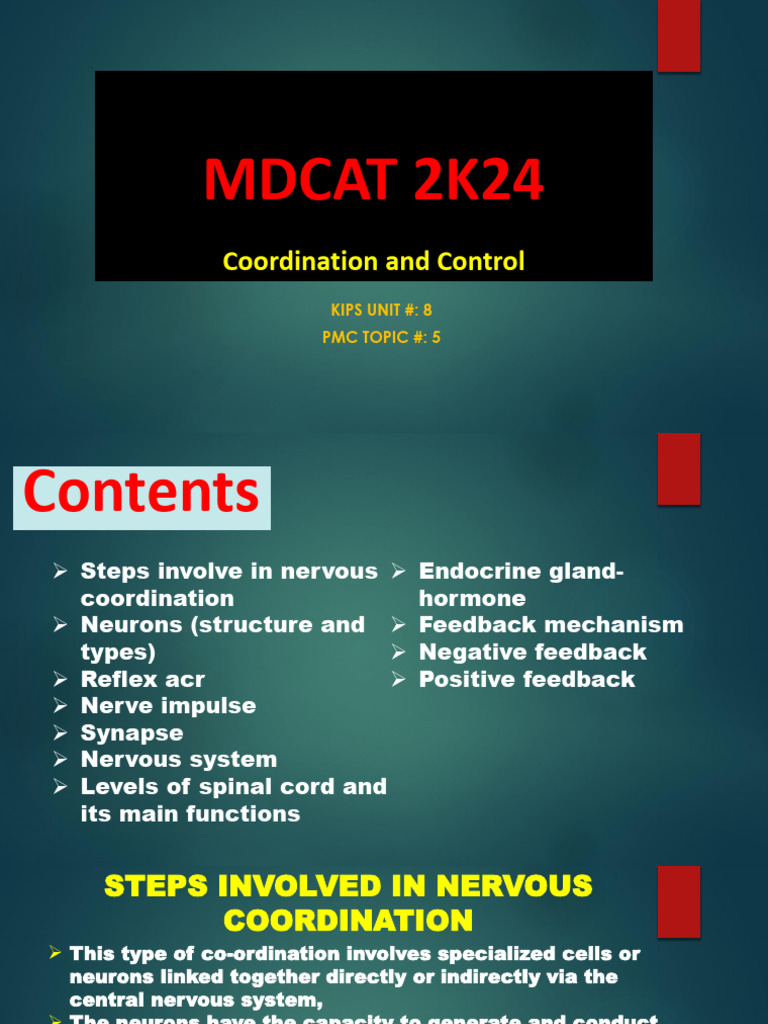 Coordination and Control | PDF | Chemical Synapse | Synapse
