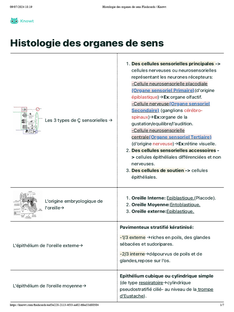 Histologie des organes de sens détaillée | PDF | Épithélium | Goût