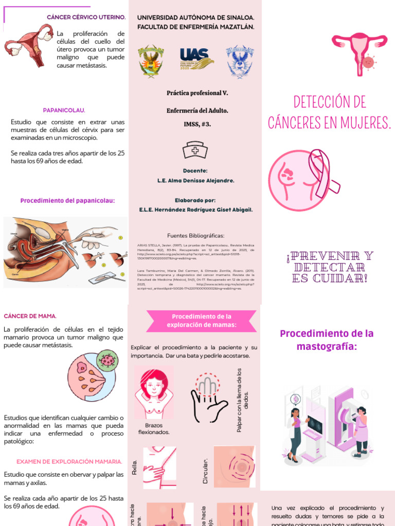 Folleto Tríptico Campaña Octubre Rosa Cáncer de Mama Ilustrado Femenino ...