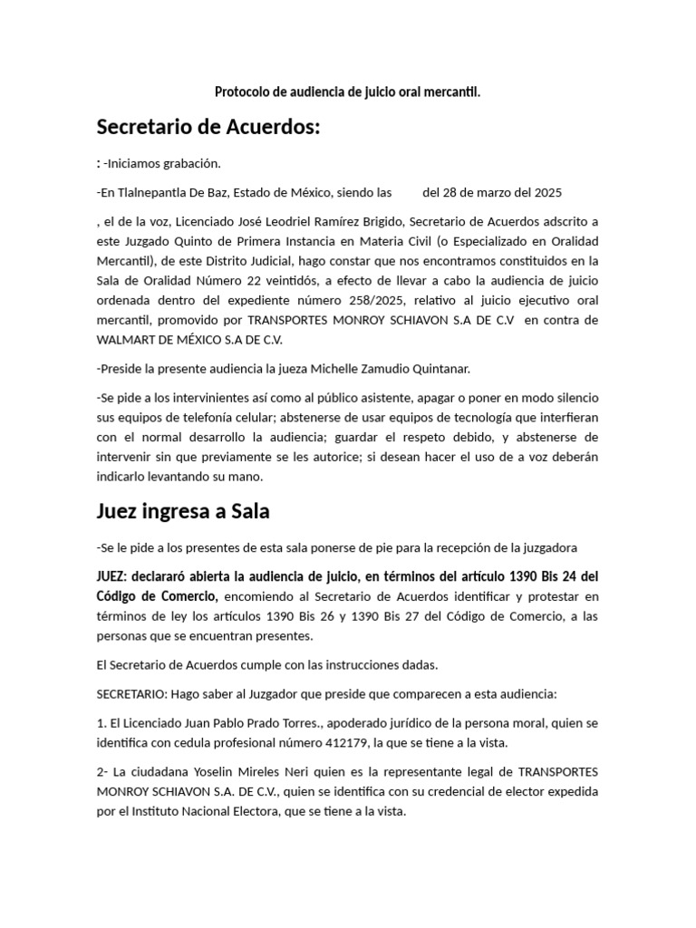 Audiencia de Juicio Oral Mercantil | PDF | Ley Pública | Justicia