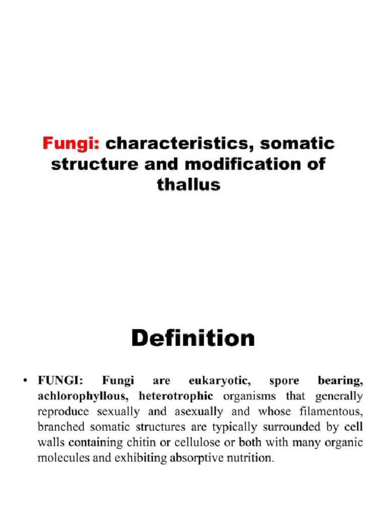 Somatic Structures of Fungi | PDF