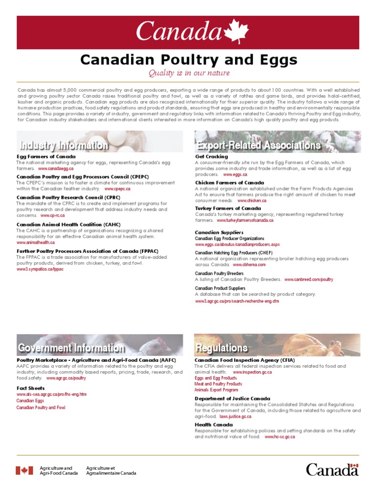 Canada Poultry and Eggs | PDF | Chicken | Poultry
