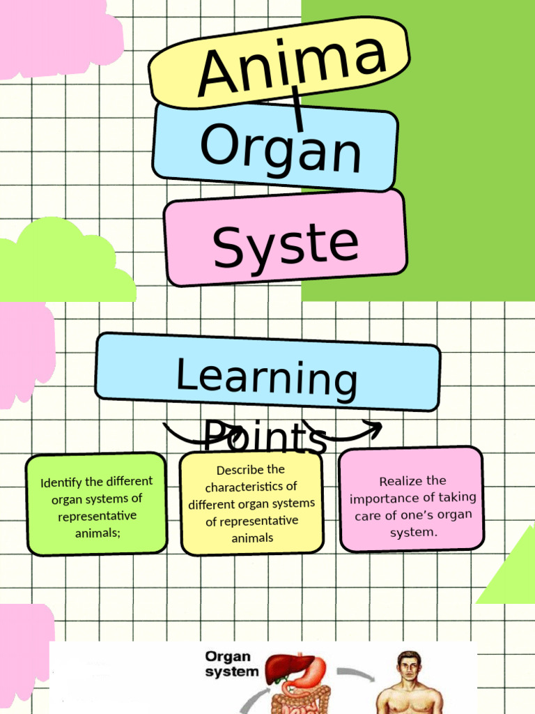 Overview of Animal Organ Systems | PDF | Muscle | Circulatory System