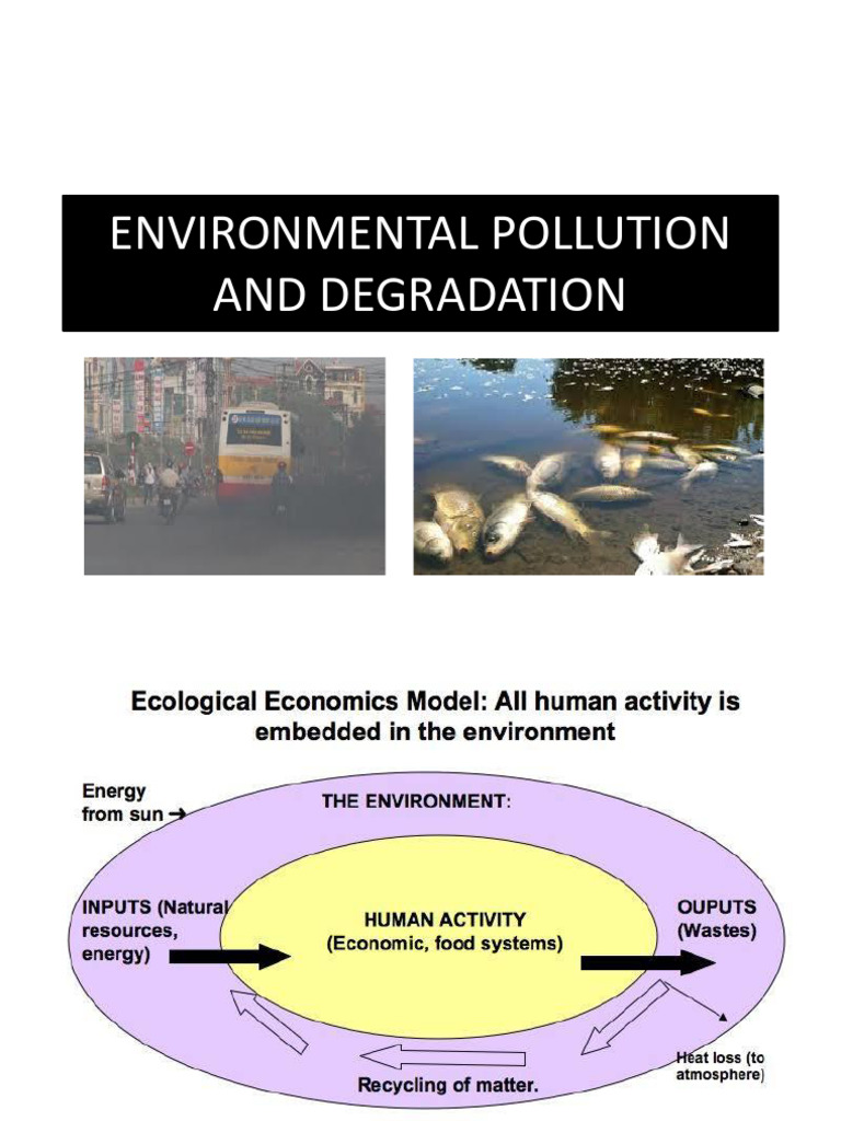 Environmental Pollution and Degradation | PDF | Pollution | Vietnam