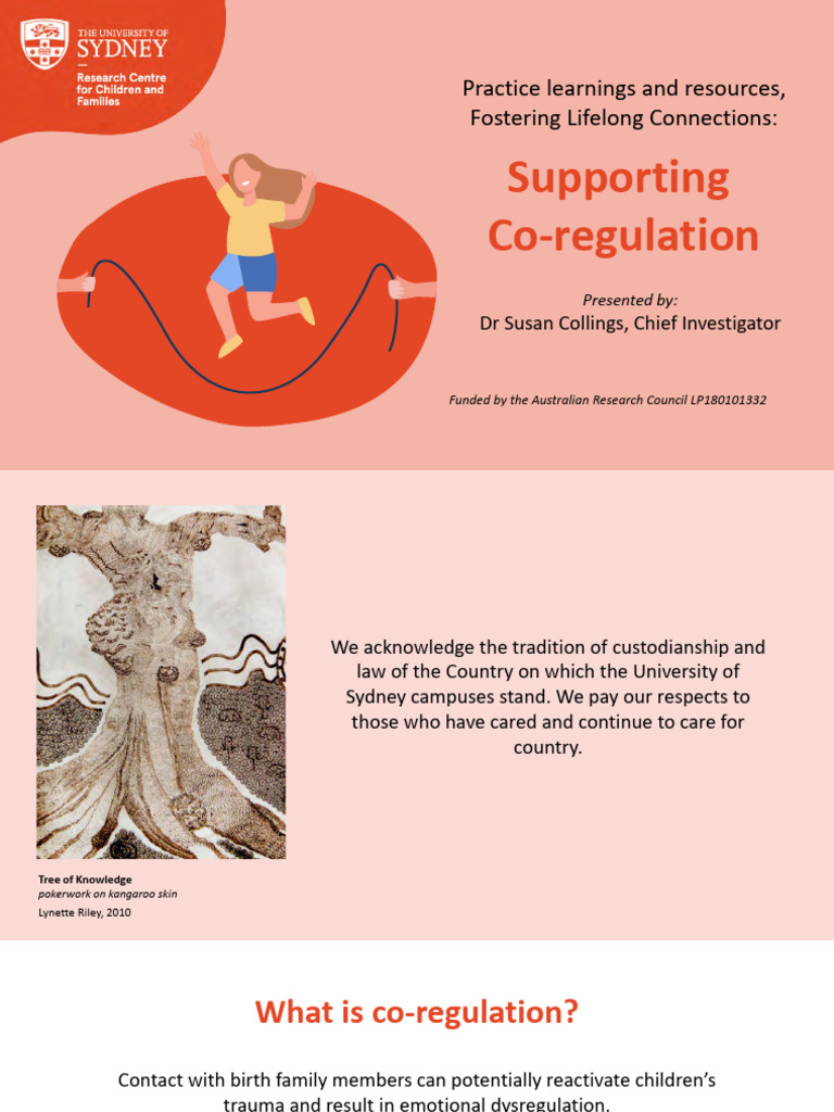 Co-Regulation Strategies for Carers | PDF | Psychological Trauma | Emotions