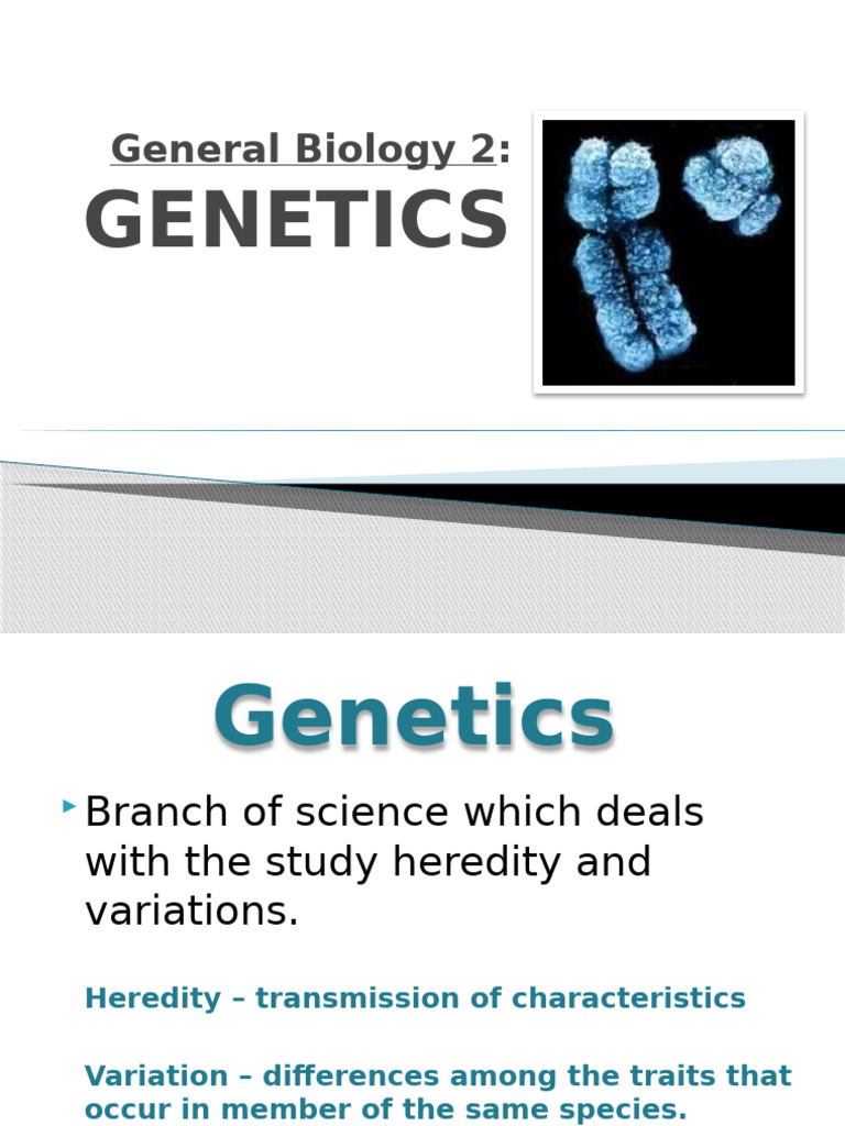 General Biology 2 Genetics | PDF | Dominance (Genetics) | Zygosity