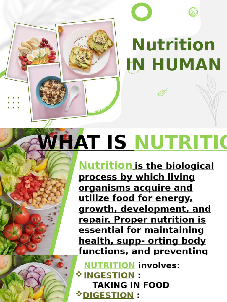 Understanding Human Nutrition Basics | PDF | Nutrients | Nutrition