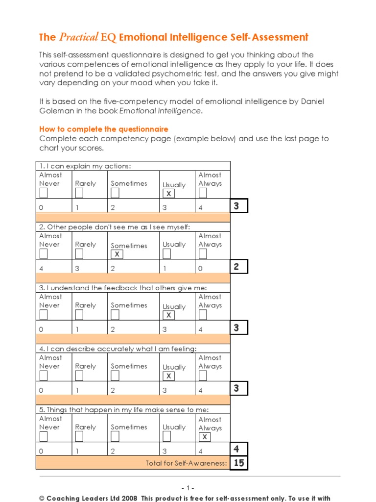 Debbie Mcgee Emotional Intelligence Self Assessment PDF Self 
