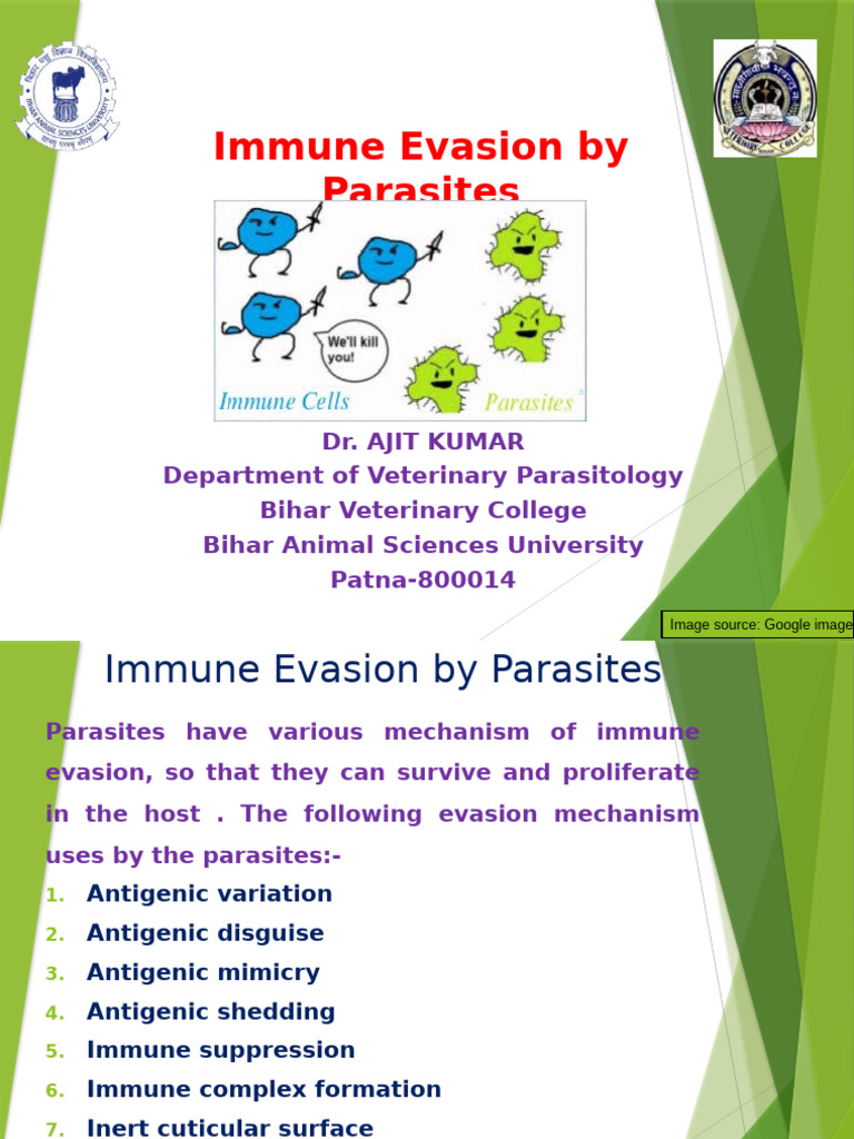 Mechanisms of Parasite Immune Evasion | PDF | Immune System | Parasitism