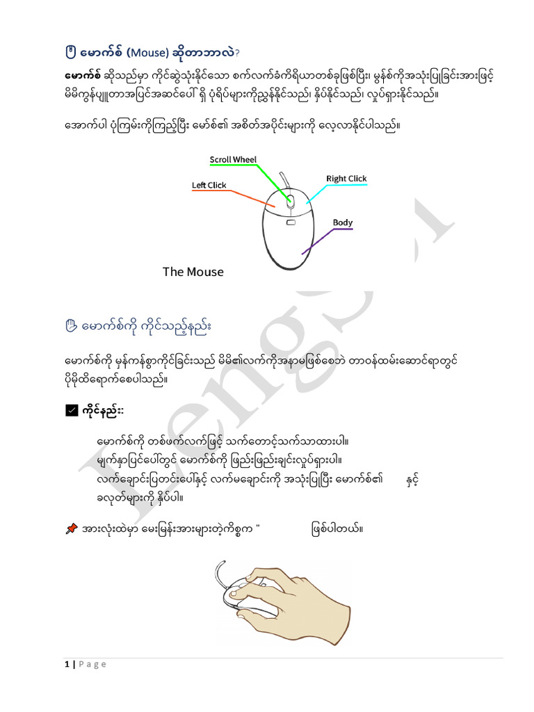 Mouse | PDF