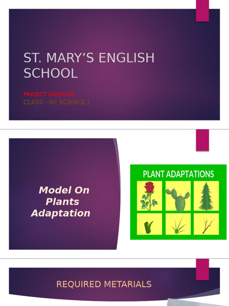 IV, Science, Projectguidelines | PDF