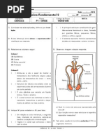 prova 8 ano