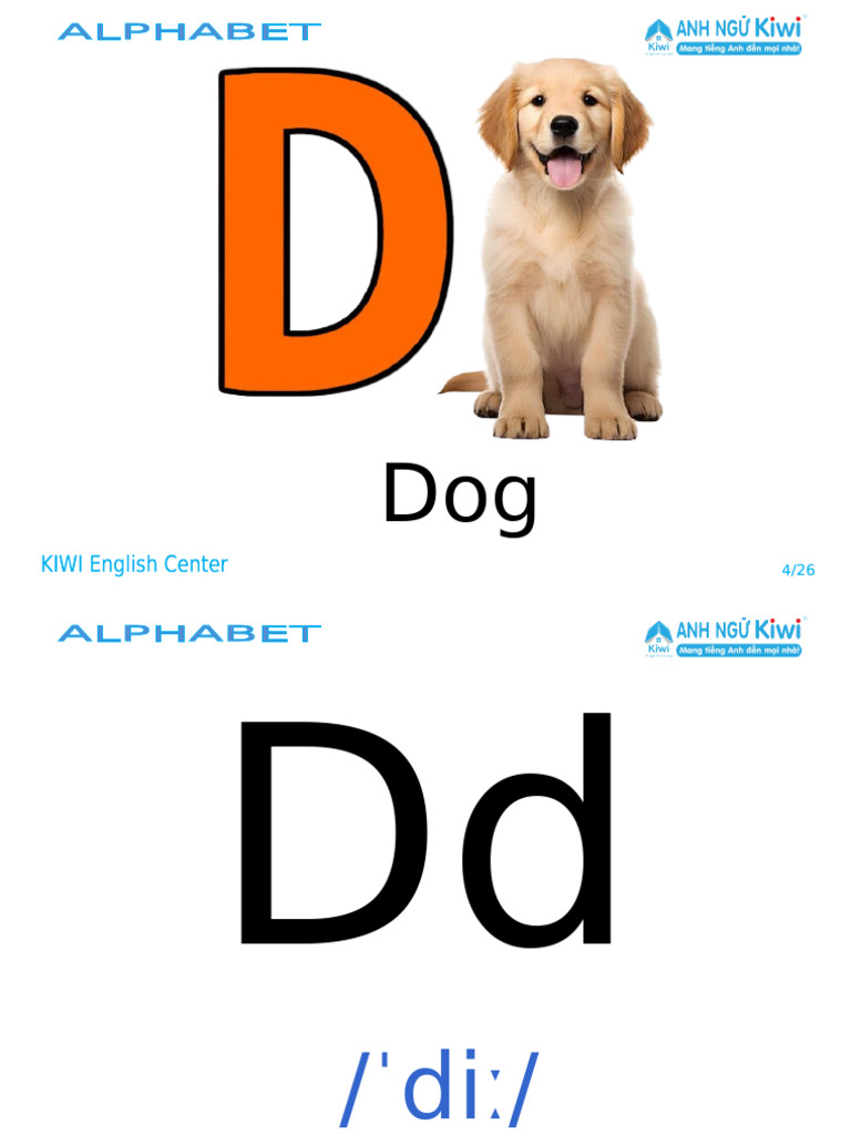 D Dog | PDF