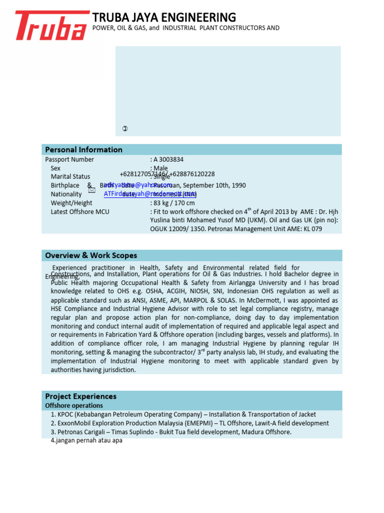 HSE Advisor Profile for Oil & Gas Industry | PDF | Occupational Hygiene ...