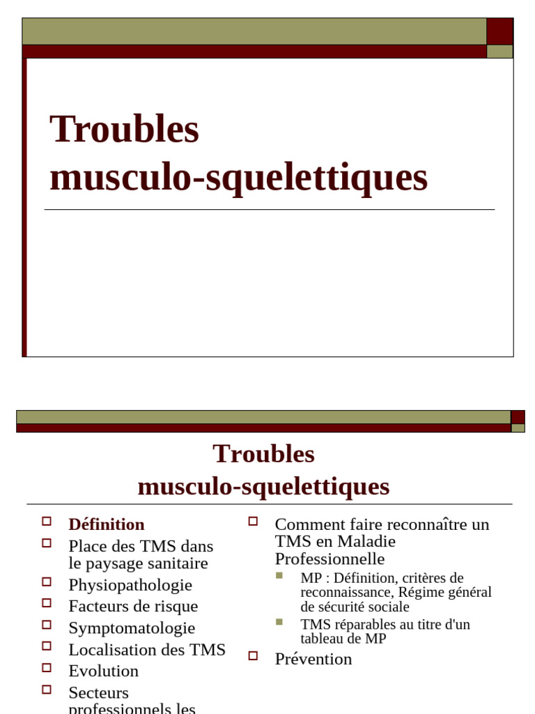 troubles-musculo-squelettiques-pdf-maladies-et-troubles-appareil