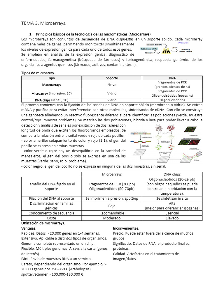 Definición y Uso de Microarrays | PDF | Adn Microarray | Rna