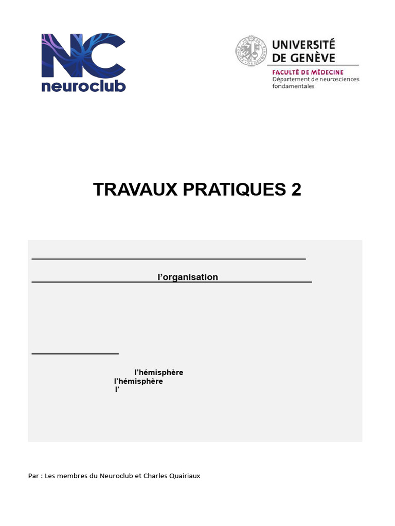 Anatomie des Hémisphères Cérébraux | PDF | Circonvolution cérébrale ...