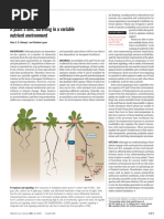 Nutrient Use Efficiency in Plants | PDF | Soil | Photosynthesis