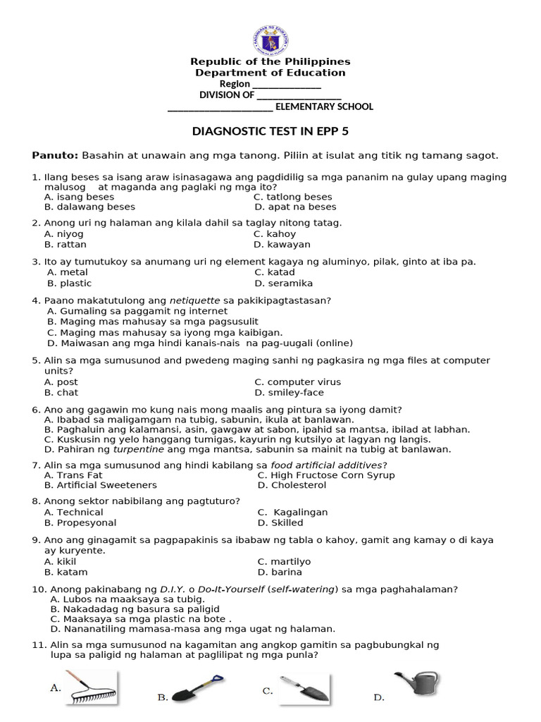 Diagnostic Test - Epp 5 | PDF