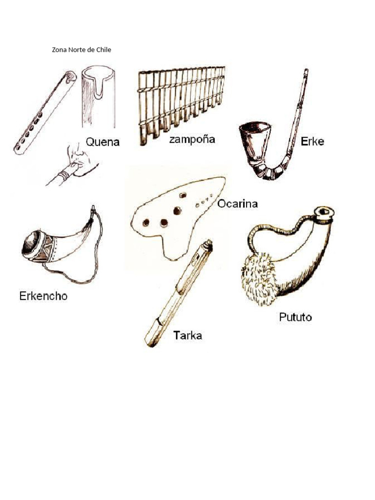 Intrumentos Del Folclore Chileno | PDF