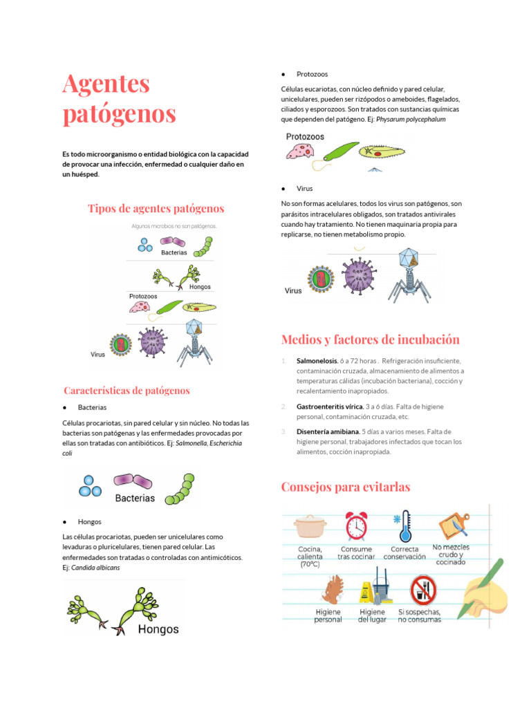 Agentes Patogenos | PDF | Patógeno | Virus