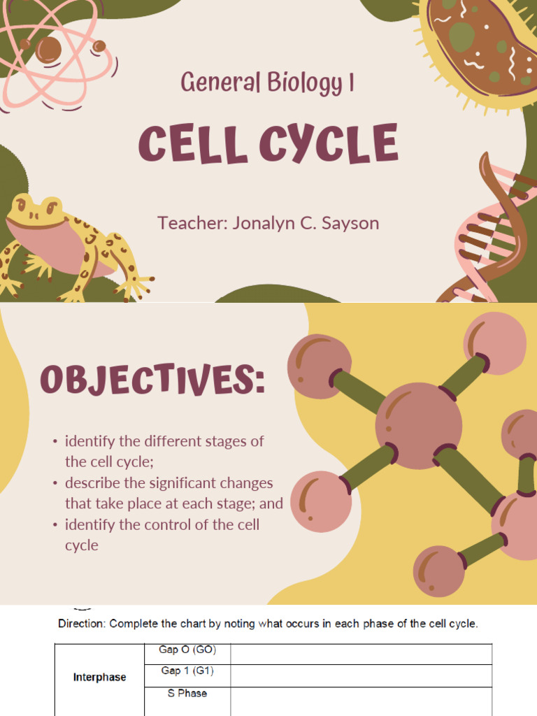 Gen Bio LESSON 6 - INTERPHASE & M PHASE | PDF | Mitosis | Cell Cycle