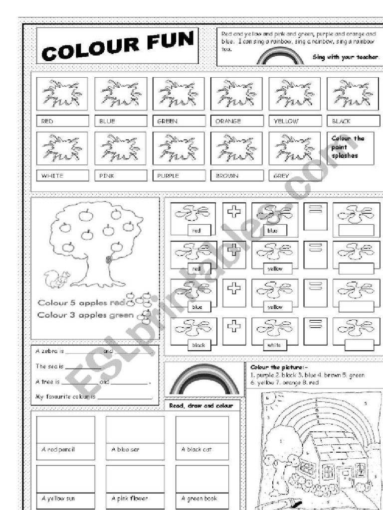 Colour Fun Activity | PDF