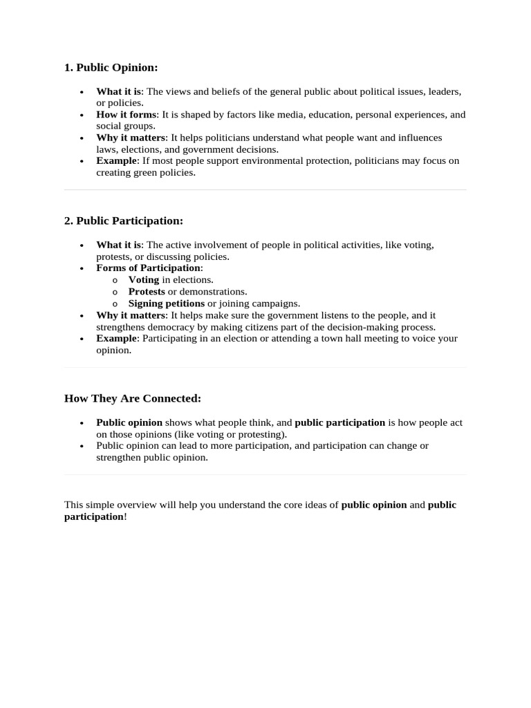 Public Opinion and Participation Explained | PDF
