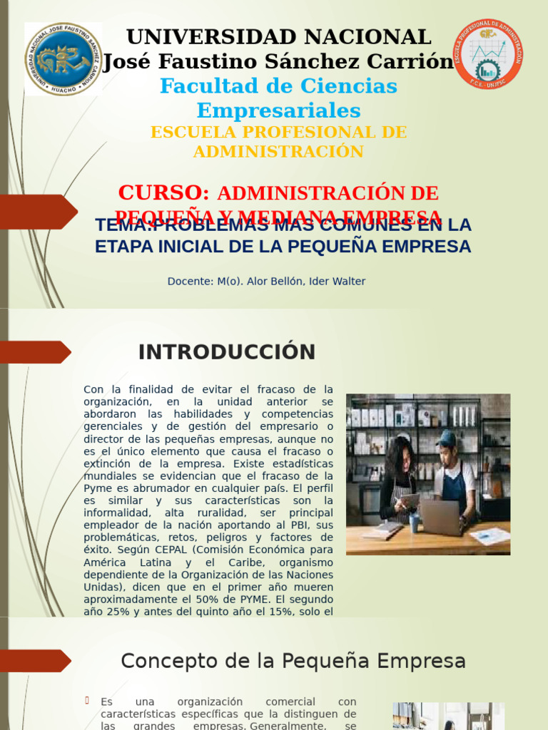 6 Problemas Comunes En La Etapa Inicial De La Pequeña Empresa Pdf