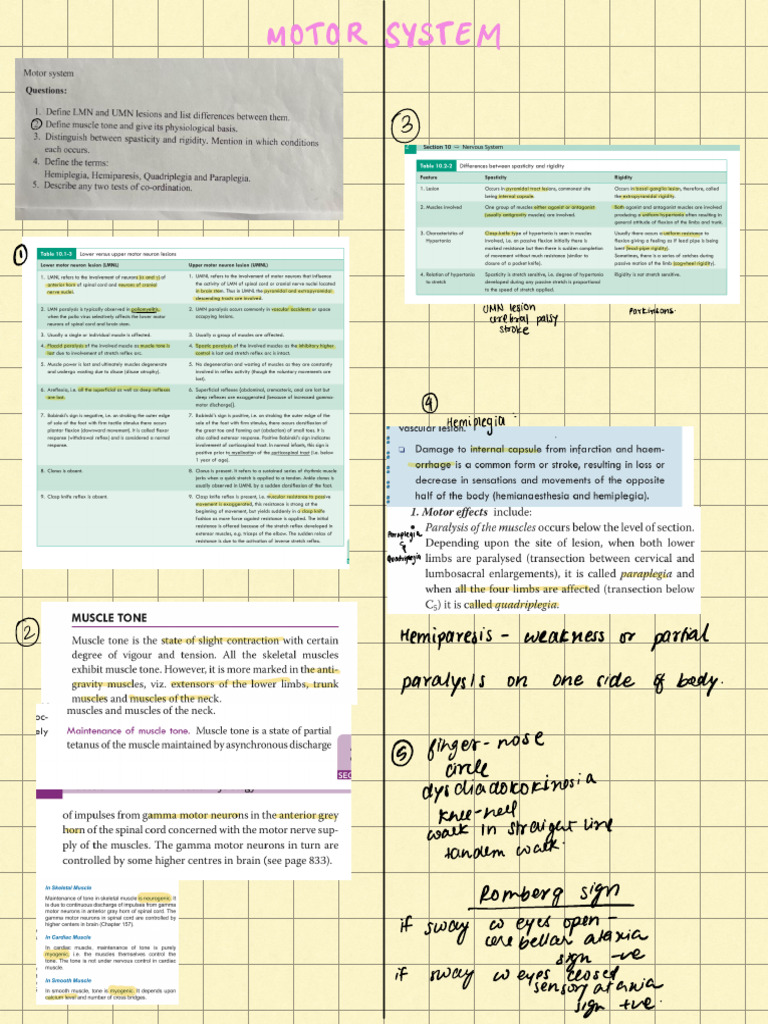 Motor System | PDF