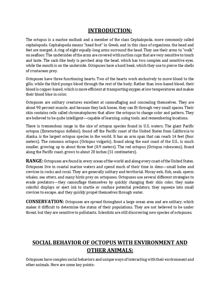 Octopus Behavior Group 3 Observations | PDF | Octopus | Predation