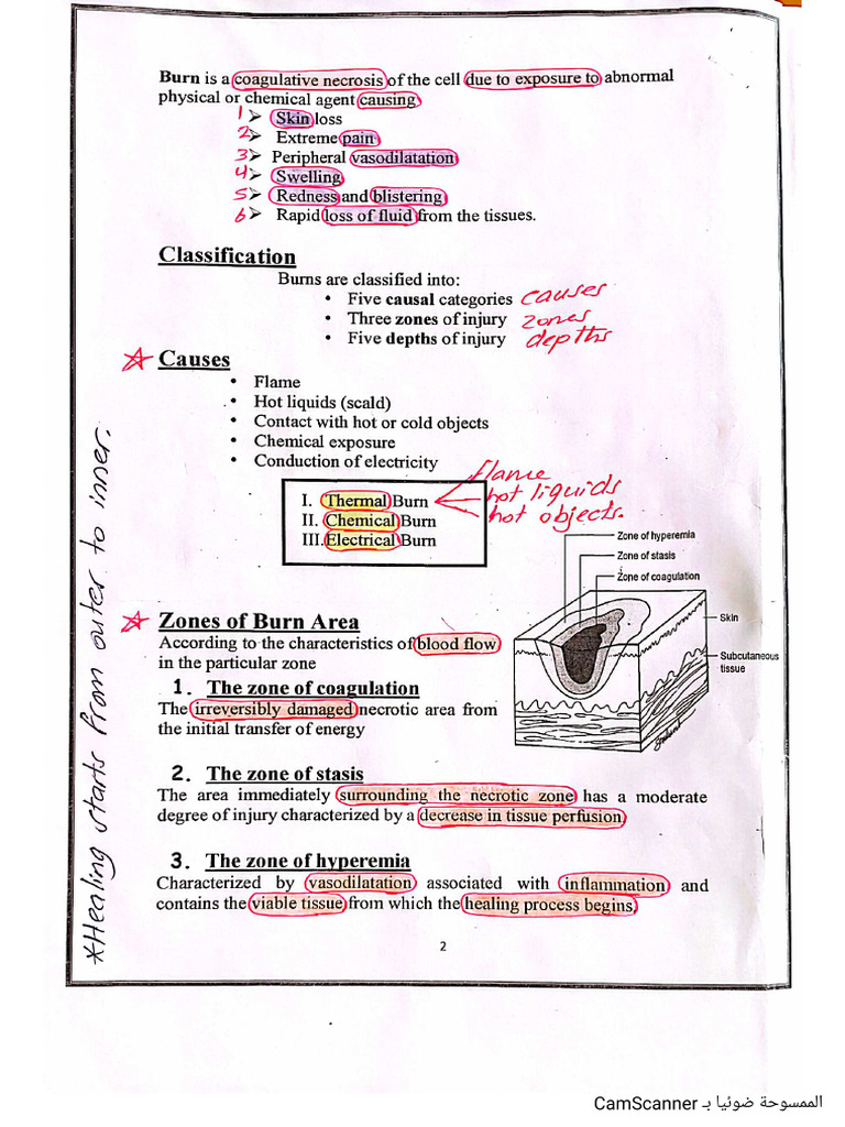 Lec 10 Burns | PDF