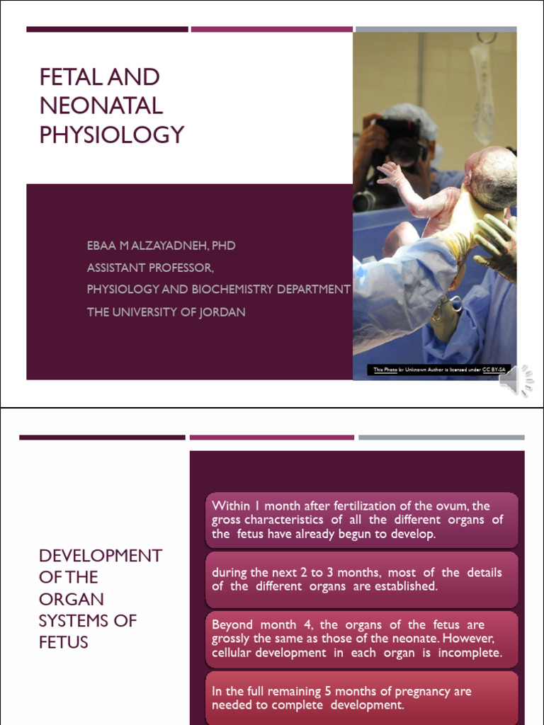 Fetal and Neonatal Physiology Overview | PDF | Fetus | Atrium (Heart)