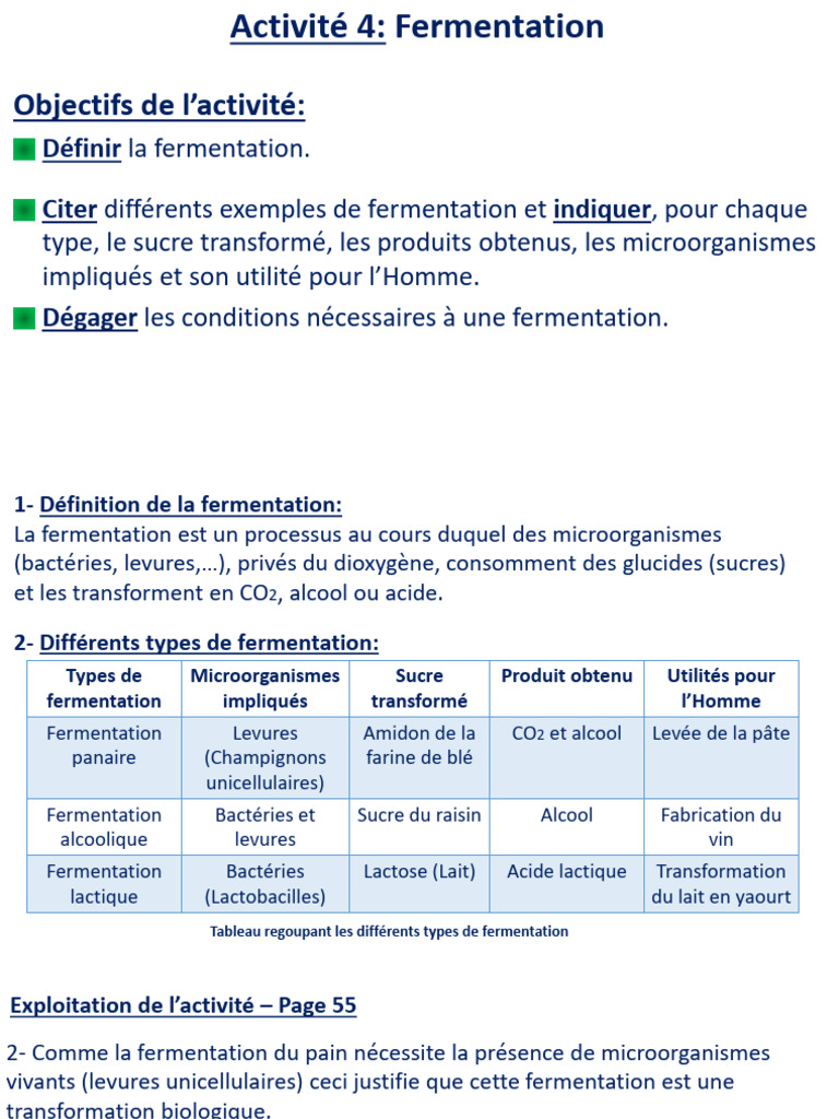 Types de fermentation et leurs applications | PDF | Fermentation | Yaourt