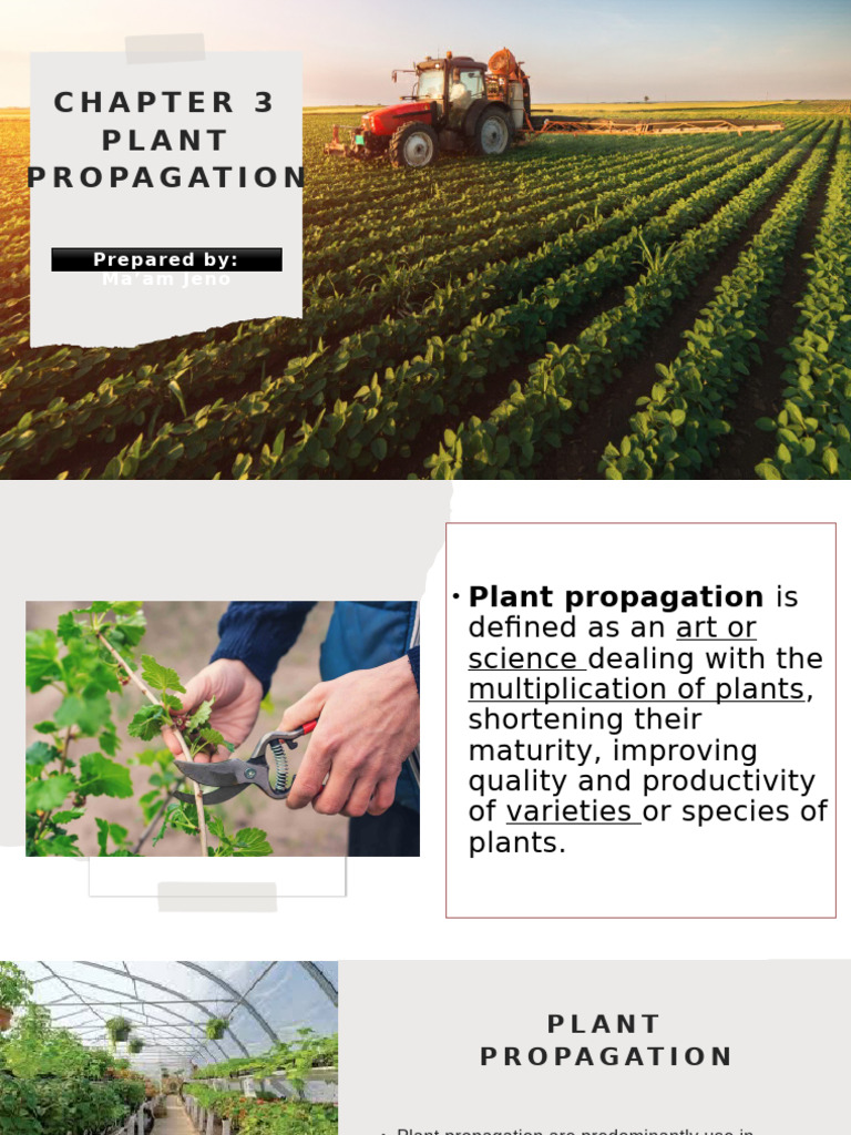Plant Propagation Techniques Explained | PDF | Grafting | Plant Morphology