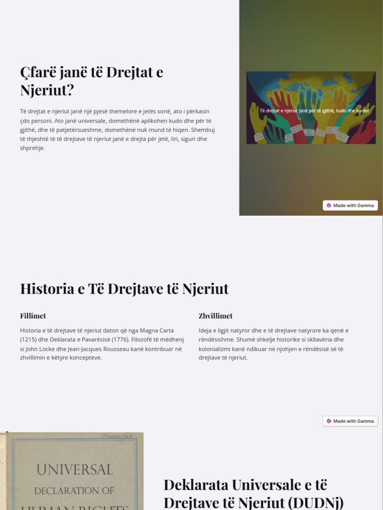Cfare Jane Te Drejtat e Njeriut | PDF