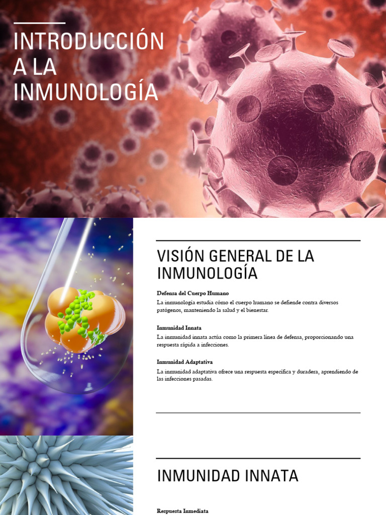 Introducción a la Inmunología Humana | PDF | Sistema inmune | Linfocitos