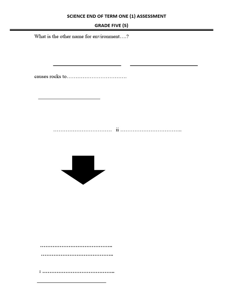 Grade 5 Science Assessment Questions | PDF | Heart | Heart Valve