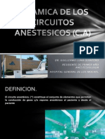 Dinamica de Los Circuitos Anestesicos - DR Luna