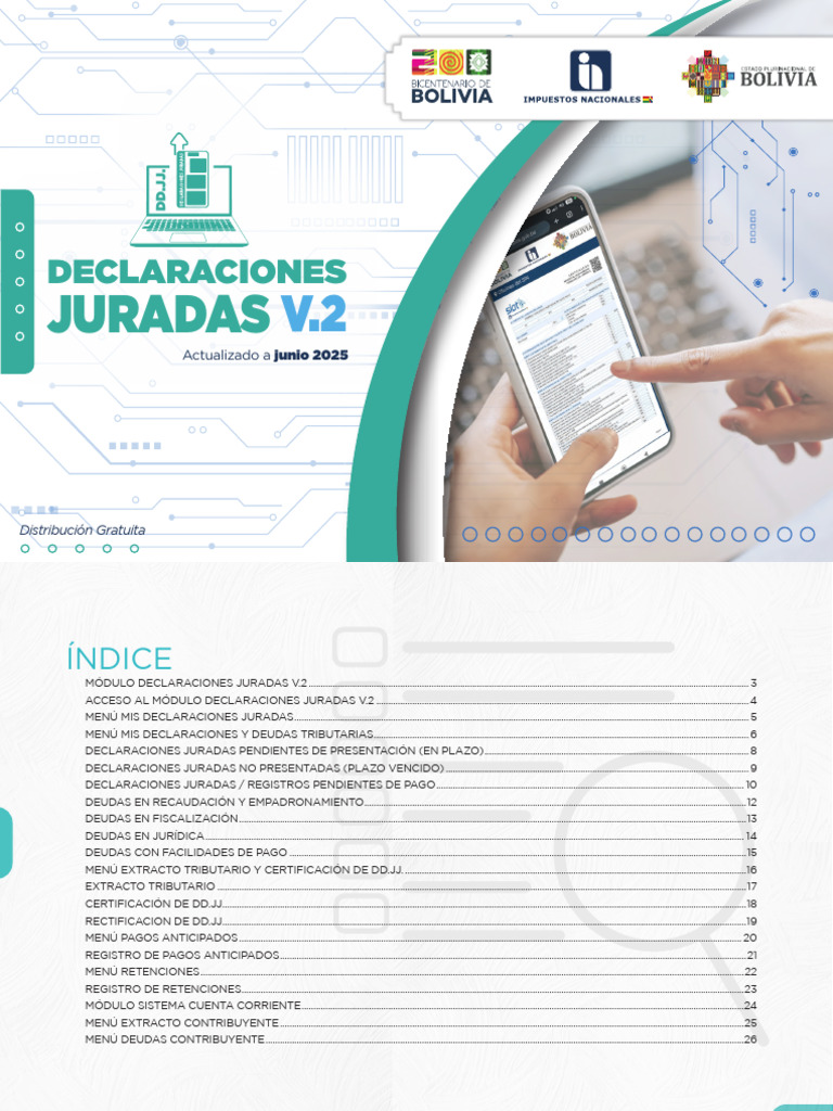 Módulo de Declaraciones Juradas V.2 | PDF