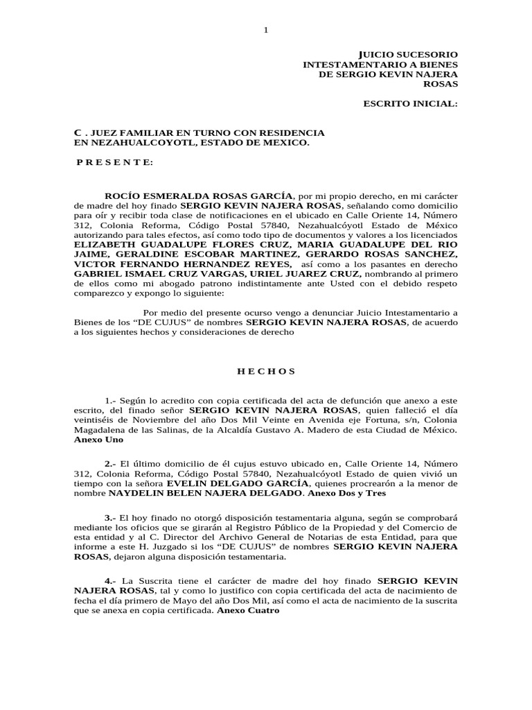 Juicio Intestamentario de Sergio Najera | PDF | Parentesco | Gobierno